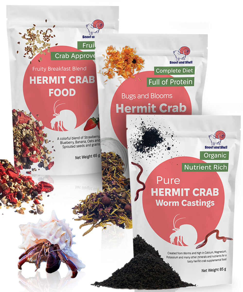 Snout and Shell Hermit Crab Food Bundle