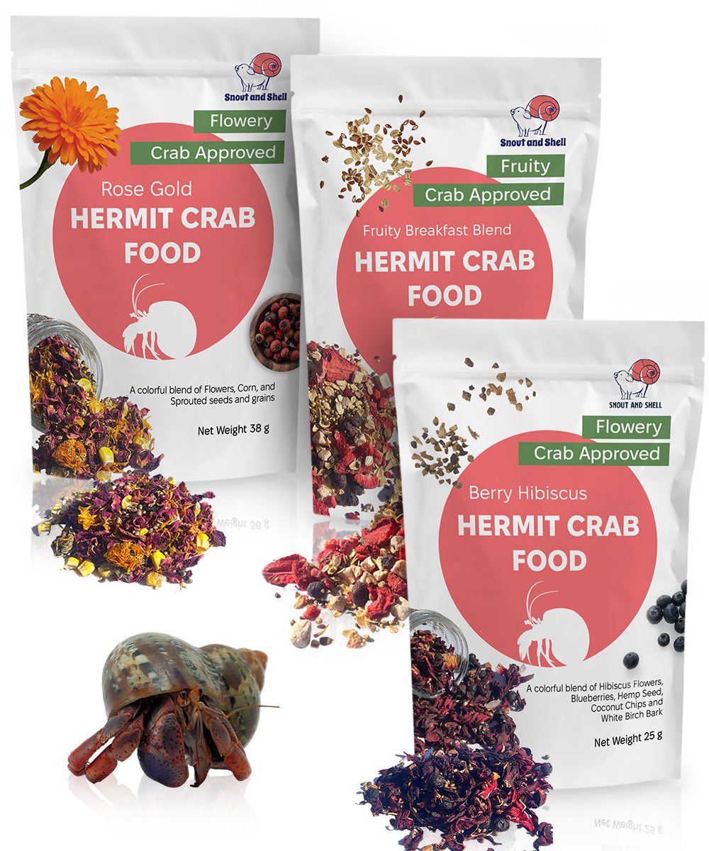 Snout and Shell Hermit Crab Food Bundle