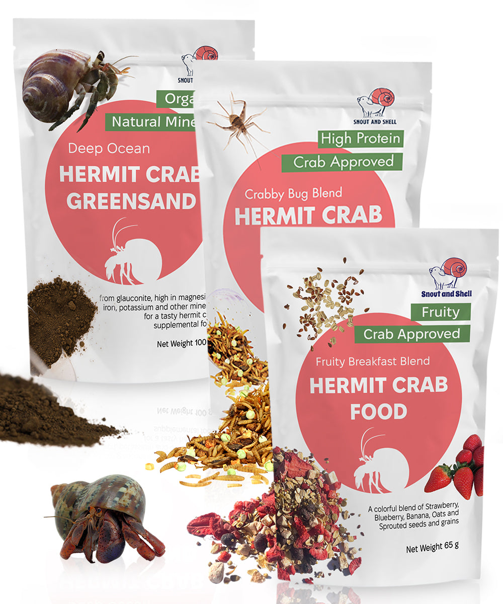 Snout and Shell Hermit Crab Food Bundle