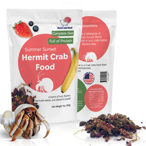 Hermit crab Food