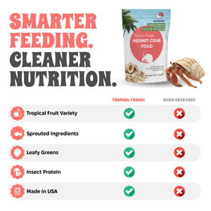 Hermit crab food tropical forage with features and benefits