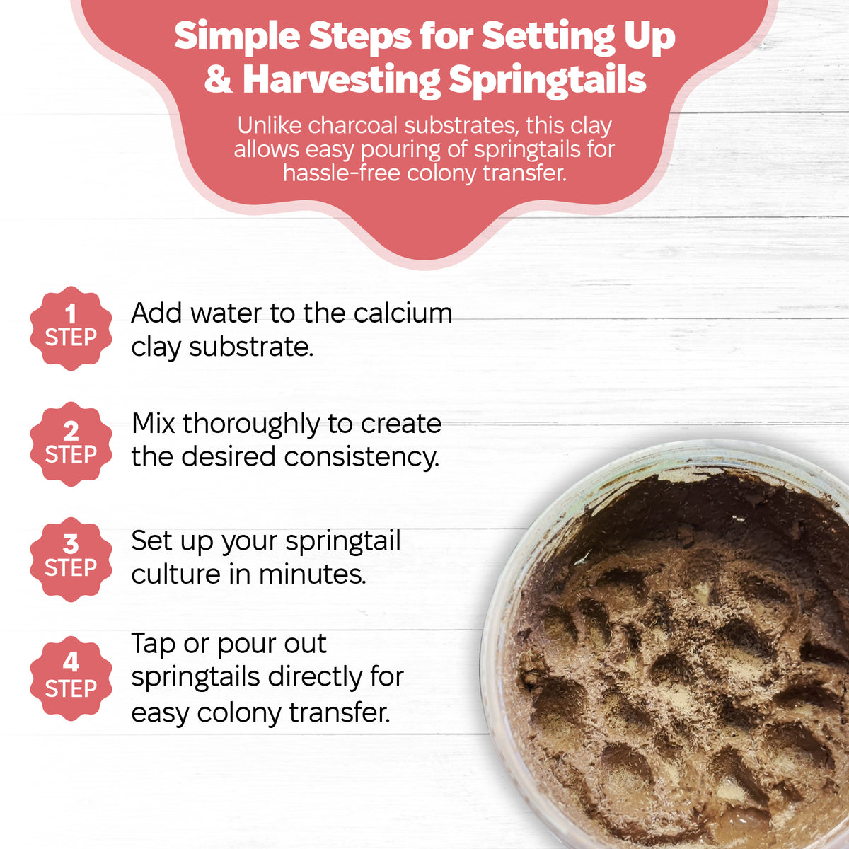 harvesting springtails