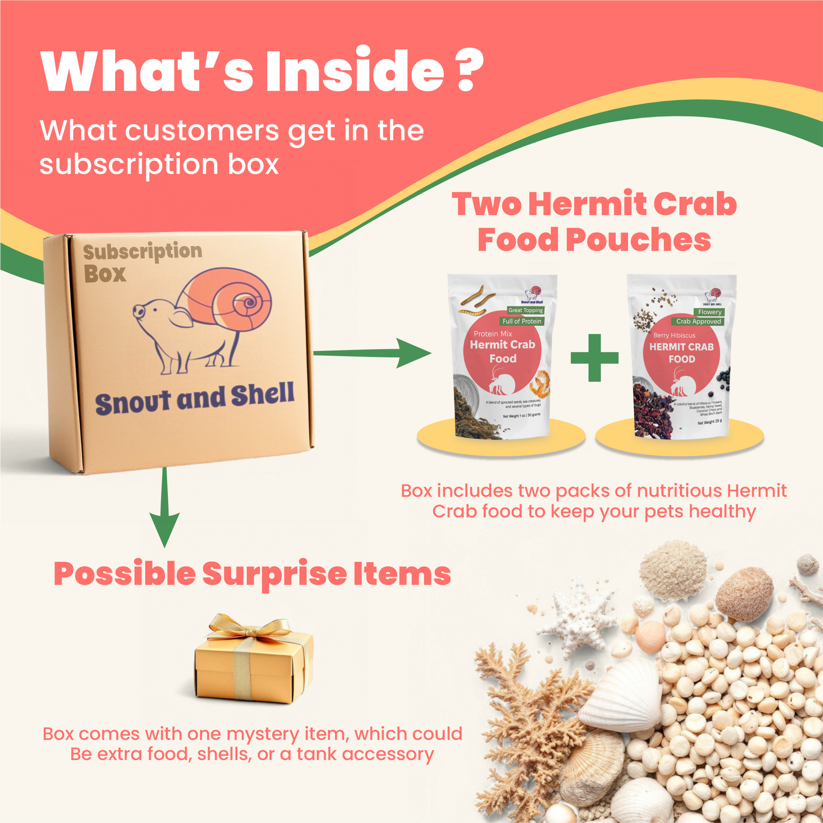 Hermit Crab Food Club