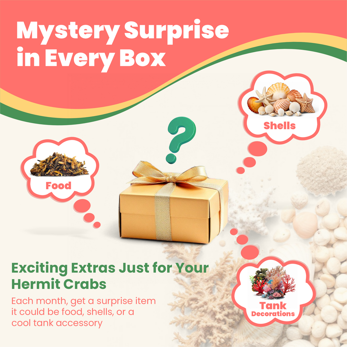 Hermit Crab Food Club