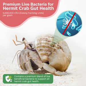 Live Bacteria