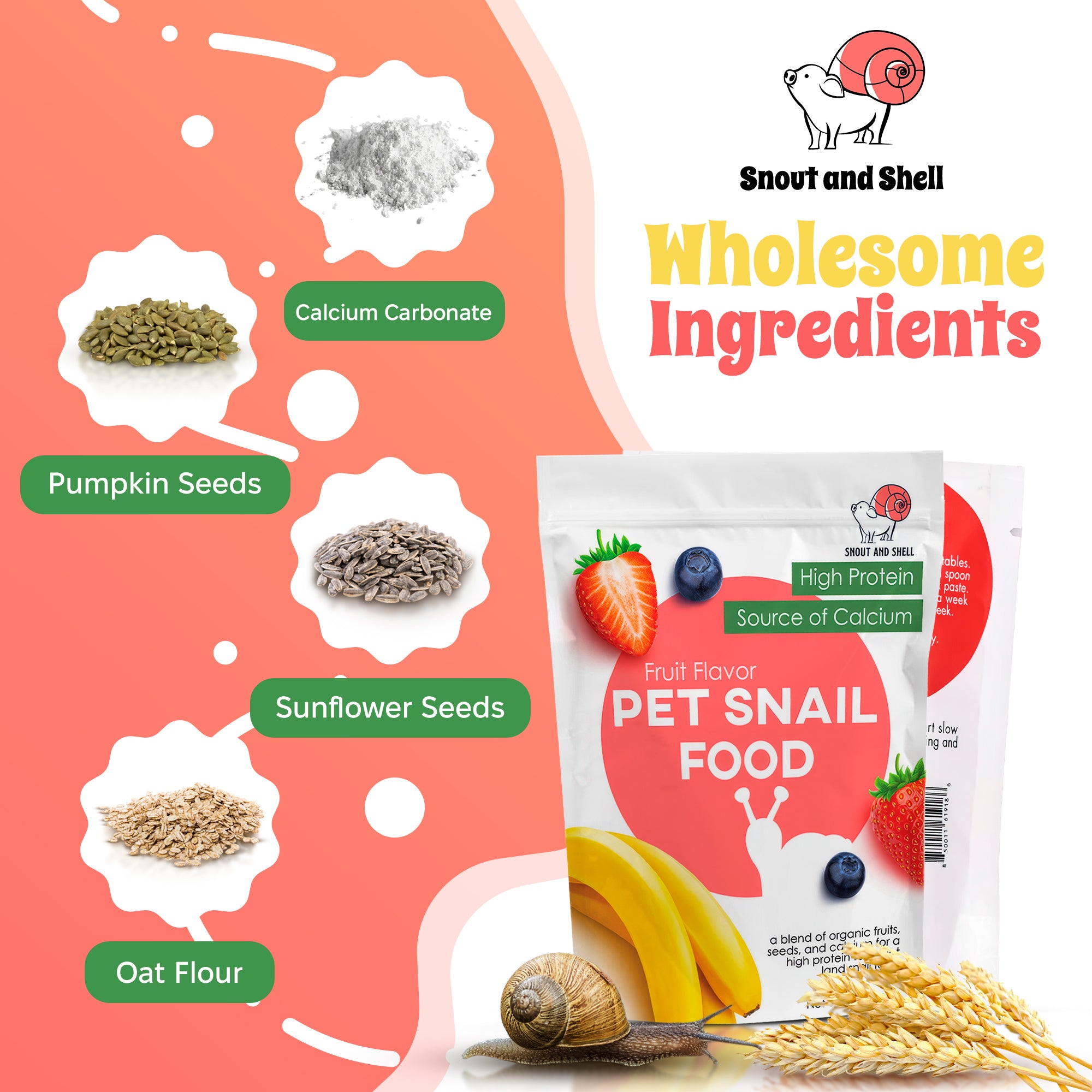 Snail Food from Snout and Shell